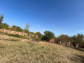 Продава ПАРЦЕЛ, с. Обнова, област Плевен, снимка 13