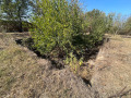 Продава ПАРЦЕЛ, с. Обнова, област Плевен, снимка 4