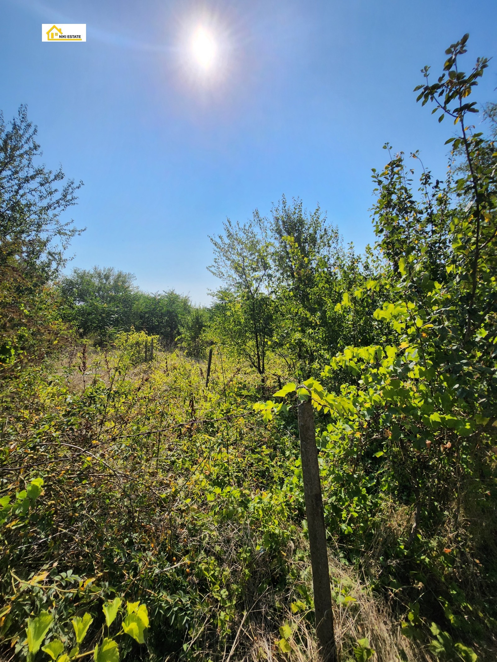 ������� ���� | Imot.bg � ����������� 2