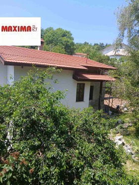 ������ ������� ����