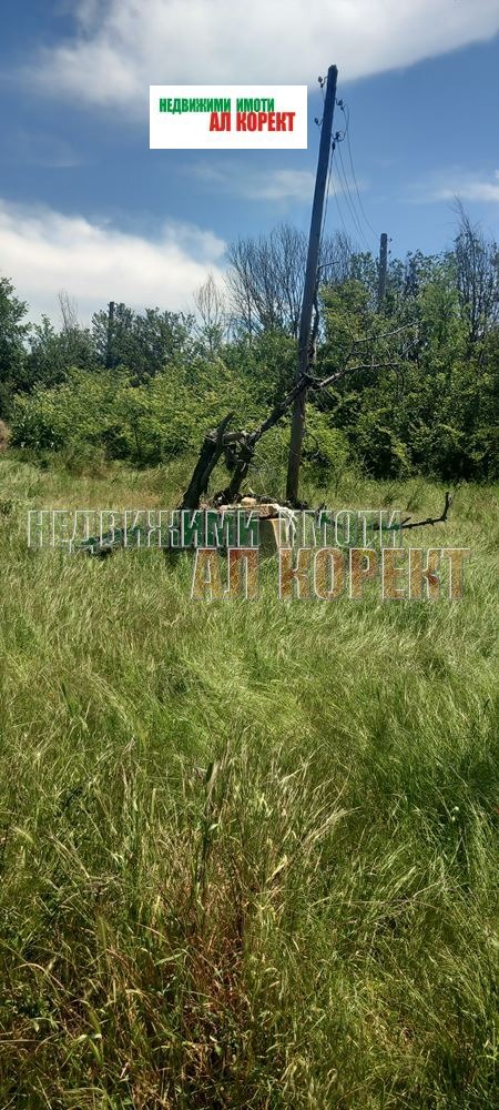На продаж  Сюжет область Варна , Кривня , 2620 кв.м | 83649505 - зображення [6]