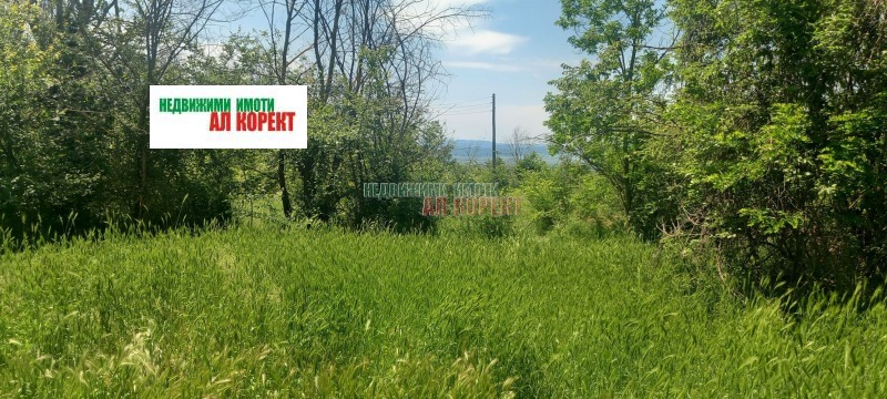 На продаж  Сюжет область Варна , Кривня , 2620 кв.м | 83649505 - зображення [5]