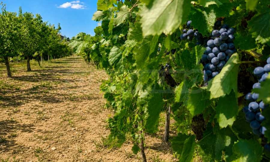 Продава ПАРЦЕЛ, с. Катуница, област Пловдив