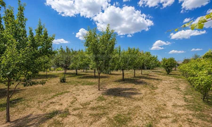 Продава ПАРЦЕЛ, с. Катуница, област Пловдив, снимка 2 - Парцели - 55530935