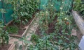Продава КЪЩА, с. Кошарица, област Бургас, снимка 5