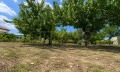 Продава ПАРЦЕЛ, с. Катуница, област Пловдив, снимка 3