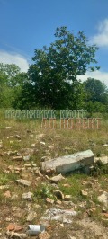 Продава ПАРЦЕЛ, област Варна, с. Кривня • 26000 € • 93166990 — Holmes.bg
