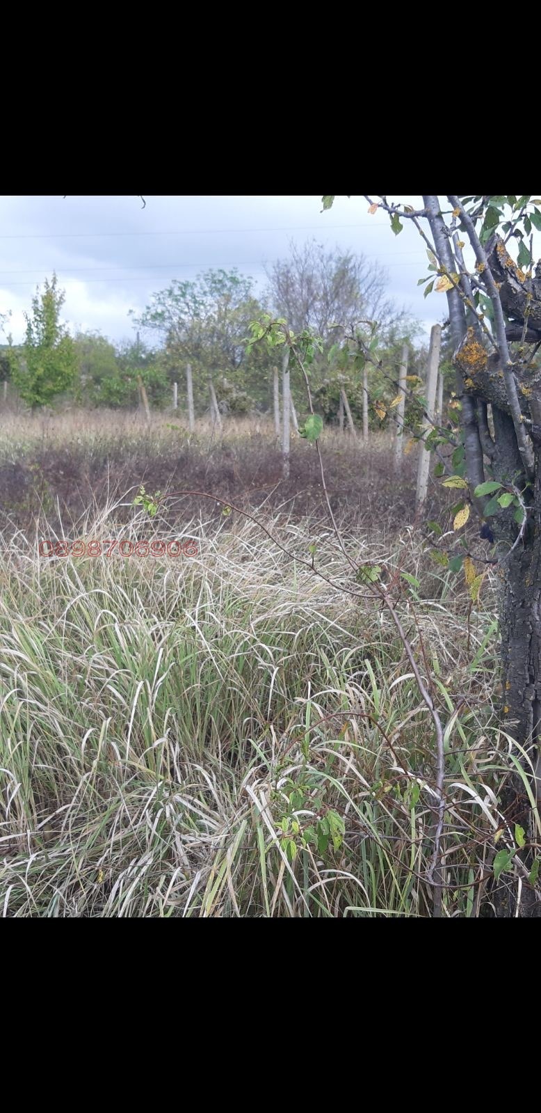 ������� ������ | Imot.bg � ����������� 5