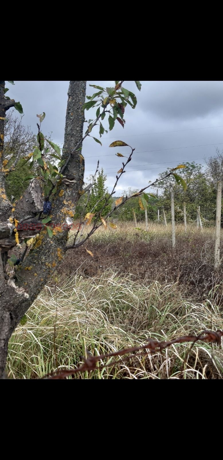 ������� ������ | Imot.bg � ����������� 7