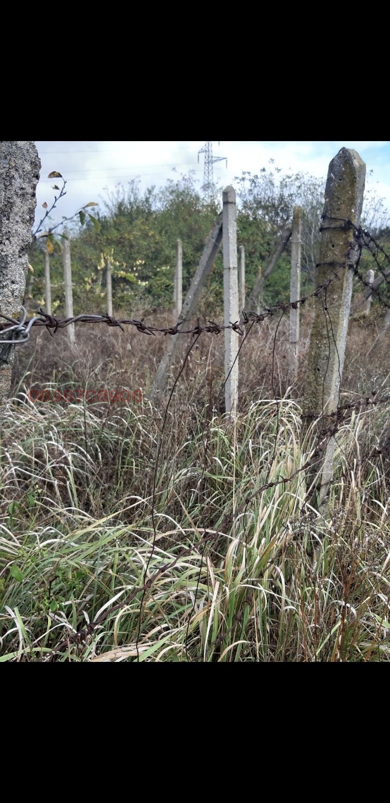 ������� ������ | Imot.bg � ����������� 8