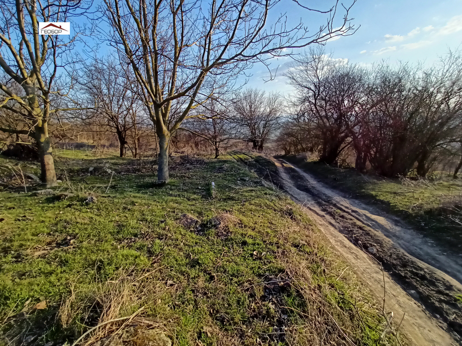 ������� ������ | Imot.bg � ����������� 2