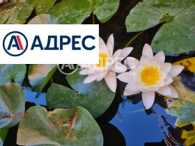 ����� ������� 3-�����,���� �����, ������