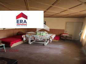 ������ ������� ����