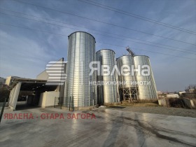 ����� ������� ����. ���������,���� ����� ������, ������������ ���� - �����