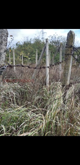 ������� ������ | Imot.bg � ����� ������ 8