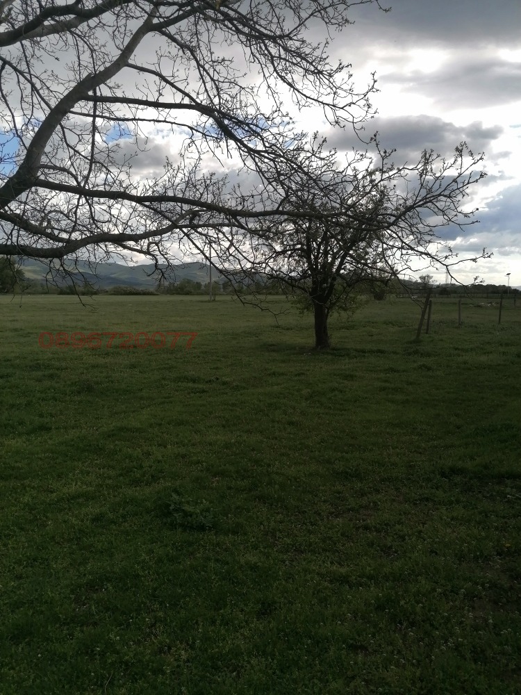 Продава КЪЩА, с. Нова махала, област Стара Загора, снимка 8 - Къщи - 52780973