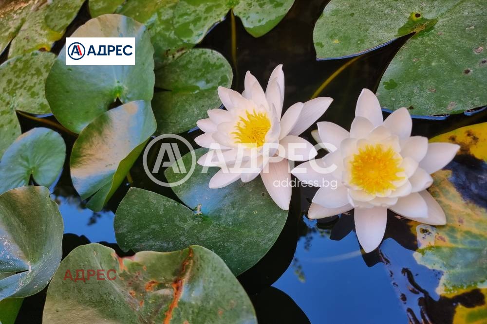 Продава 3-СТАЕН, гр. Варна, Галата, снимка 5 - Апартаменти - 53588640