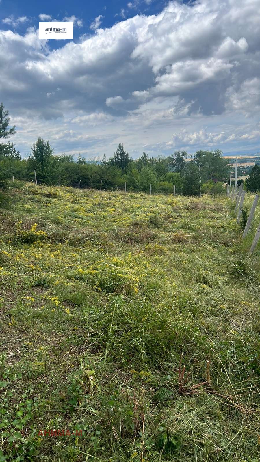 Продава ПАРЦЕЛ, гр. София, гр. Банкя, снимка 5 - Парцели - 53591991
