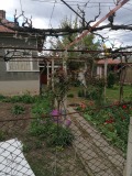 Продава КЪЩА, с. Нова махала, област Стара Загора, снимка 2