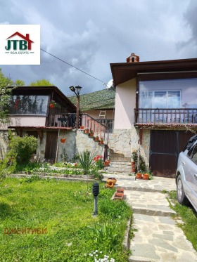 ������ ������� ����