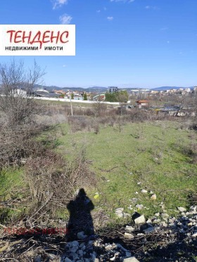 ������ ������� ������