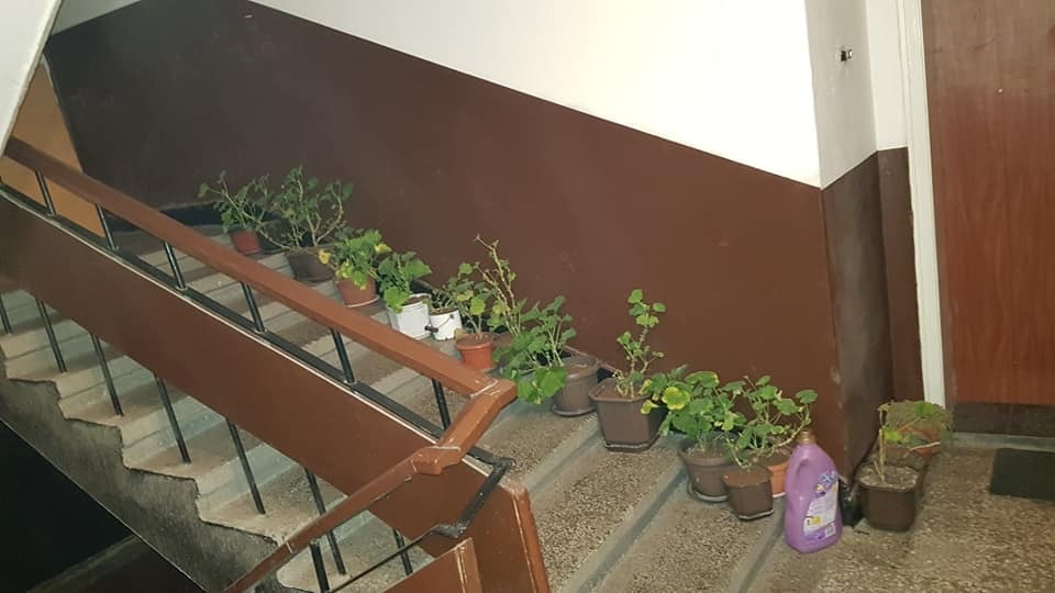 Продава 3-СТАЕН, гр. Видин, Химик, снимка 14 - Апартаменти - 56697905