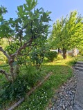 Продава ЕТАЖ ОТ КЪЩА, гр. София, Горна баня, снимка 14