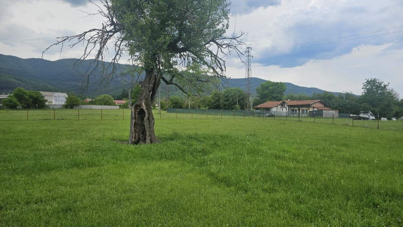 Til salg  Grund region Sofia , Pravets , 1300 kvm | 44069127 - billede [4]