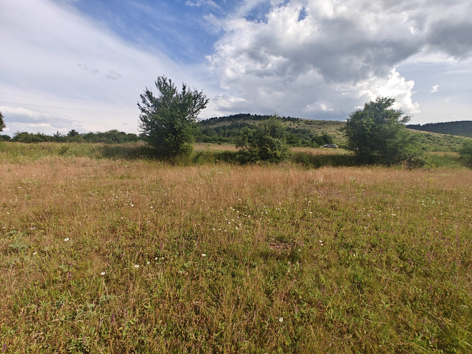 Продава ПАРЦЕЛ, с. Стефаново, област Перник, снимка 10 - Парцели - 55238347