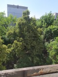 Продава 2-СТАЕН, град София, Люлин 3 • 132000 € • 76371732 — Holmes.bg