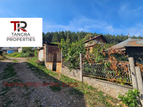 ����� ������� ����,�. ����, ������ ������