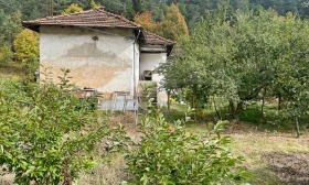 ����� ������� ����,�. ���� ����, ������ �����