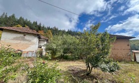 ����� ������� ����,�. ���� ����, ������ �����