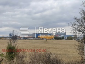 ����� ������� ������,���� �����, ���������