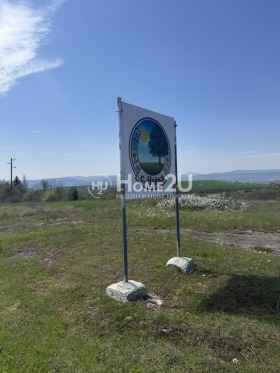 ����� ������� ������,�. �����, ������ �����