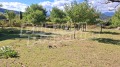 Продава ПАРЦЕЛ, гр. Белица, област Благоевград, снимка 1