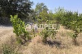 Продава ПАРЦЕЛ, град Варна, с. Звездица • 21000 € • 96619319 — Holmes.bg