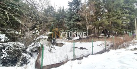 ����� ������� ������,�.�.�����, ������ �����