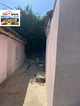 Hus Kralska zona, Dobrisj 4