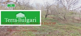 ������� ������ | Imot.bg � ����� ������ 8