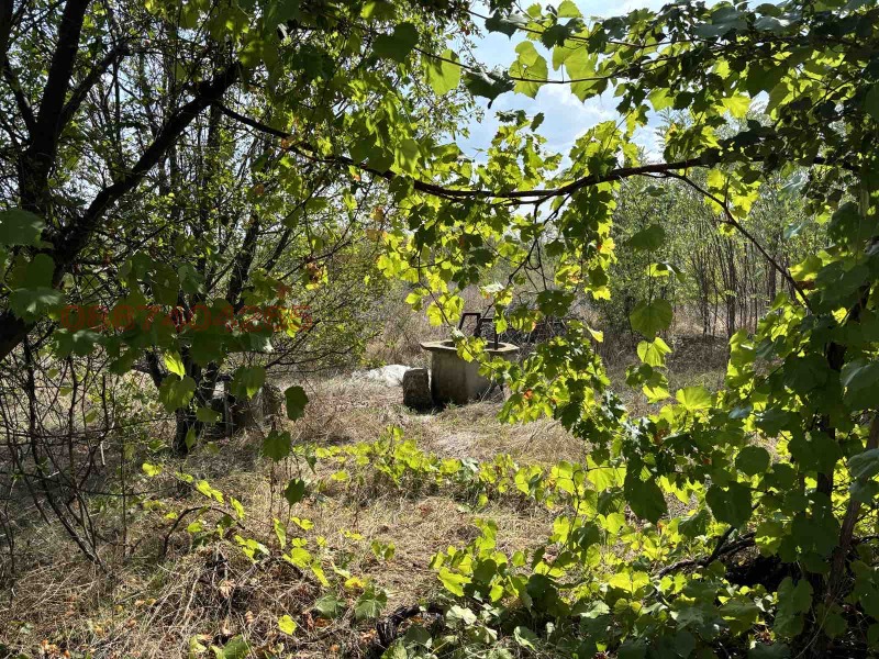 Продава КЪЩА, с. Опан, област Стара Загора, снимка 9 - Къщи - 52780232