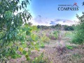 Продава КЪЩА, с. Пчеларово, област Добрич, снимка 8