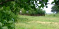 Продава ПАРЦЕЛ, област Добрич, с. Соколово • 24000 € • 13646438 — Holmes.bg
