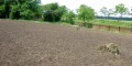 Продава ПАРЦЕЛ, област Добрич, с. Соколово • 24000 € • 13646438 — Holmes.bg