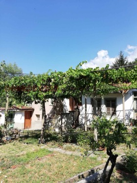 ����� ������� ����,��. �������, ������ �������