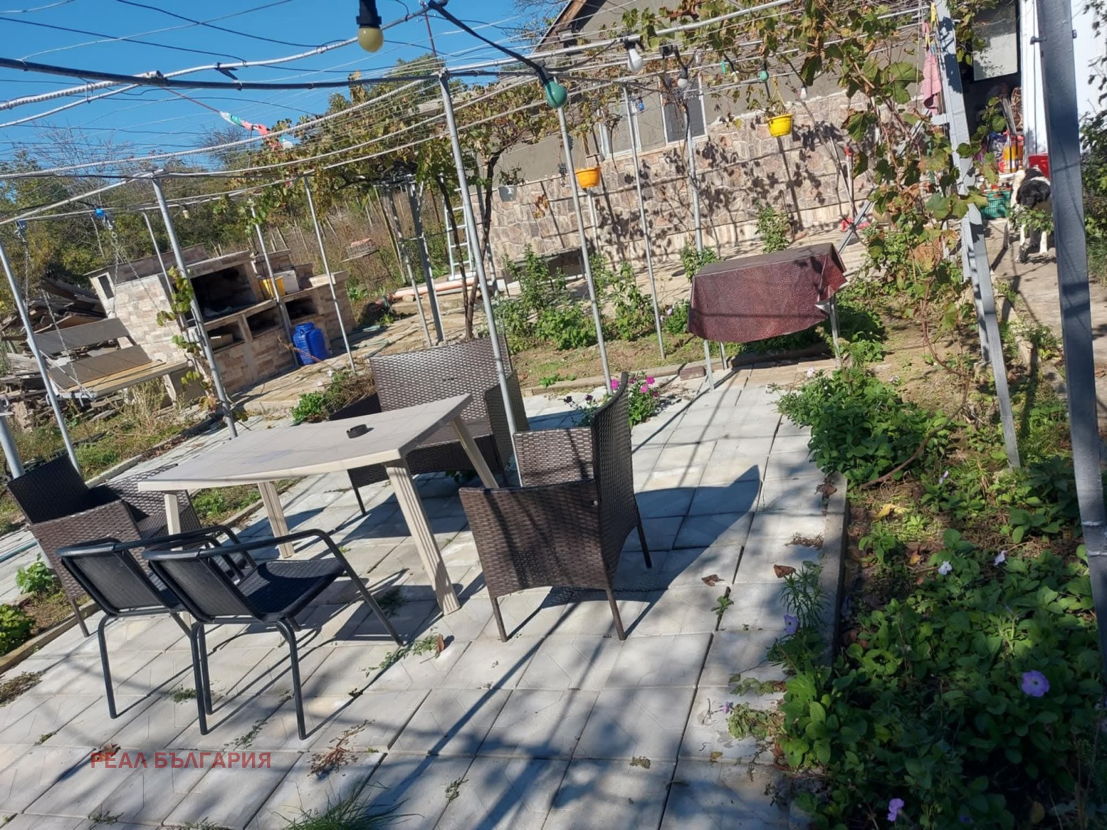 ������� ���� | Imot.bg � ����������� 1