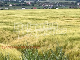 Οικόπεδο Καμεναρ, περιοχή Μπουργκάς 7