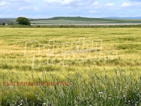 Плот Каменар, регион Бургас 8