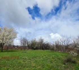 ������� ������ | Imot.bg � ����� ������ 7