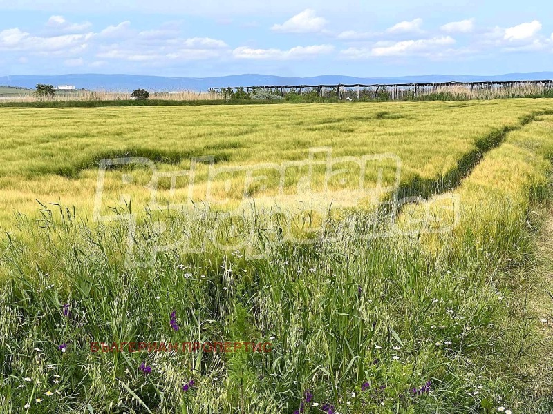 Προς πώληση  Οικόπεδο περιοχή Μπουργκάς , Καμεναρ , 6682 τ.μ | 64995296 - εικόνα [10]